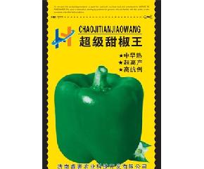 超级甜椒王--辣椒种子