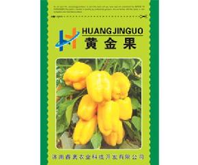 黄金果--辣椒种子
