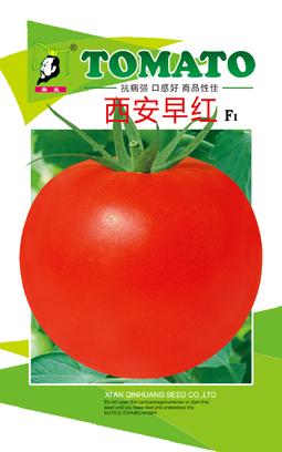 西安早红——番茄系列