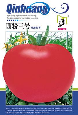 西粉三号——番茄系列