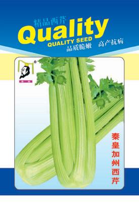 秦皇加州西芹——芹菜系列