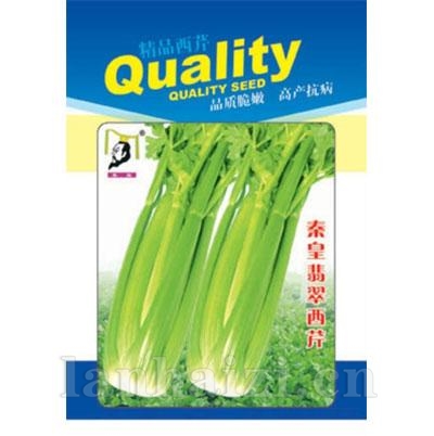 秦皇翡翠西芹——芹菜系列