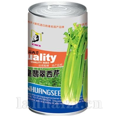 秦皇翡翠西芹——芹菜系列