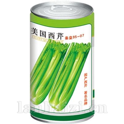 美国西芹95-07——芹菜系列