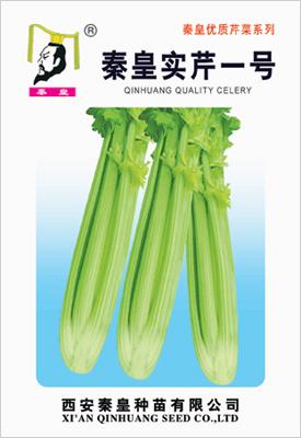 秦皇实芹一号——芹菜系列