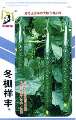 冬棚祥丰(越冬温室早春大棚专用)——黄瓜系列