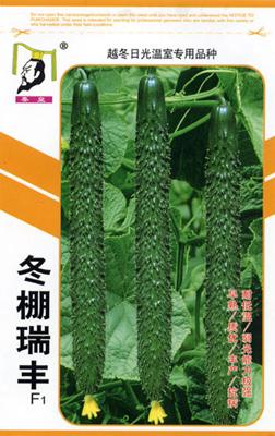 冬棚瑞丰（越冬日光温室专用）——黄瓜系列