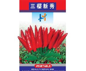 三樱新秀--辣椒种子