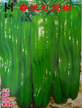 睿优灯笼椒