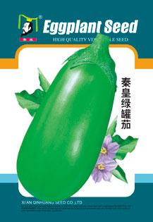 秦皇绿罐茄——茄子系列