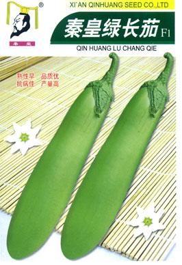 秦皇绿长茄——茄子系列