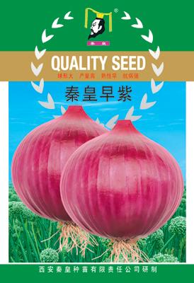 秦皇早紫——其他系列
