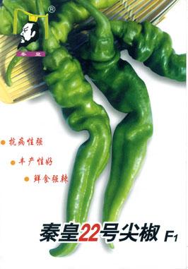 秦皇22号尖椒——其他系列