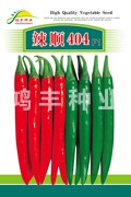 辣顺404——尖椒种子