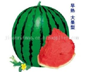 嘉玉