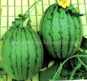 睿优春玉