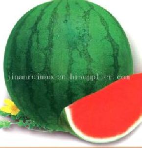 睿优新龙