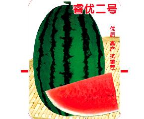 睿优二号--西瓜种子