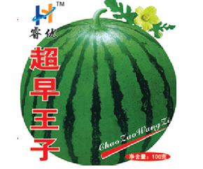 超早王子--西瓜种子