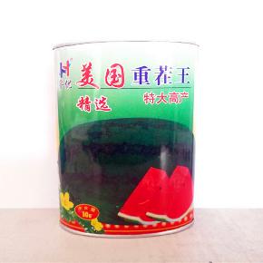 美国重茬王--西瓜种子