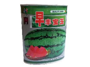 早丰宝玉--西瓜种子