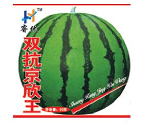 双抗京欣王--西瓜种子