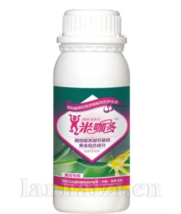 黄瓜专用