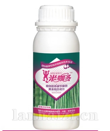 豆角/芸豆专用