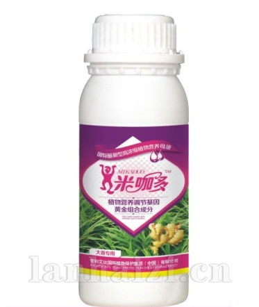 大姜专用