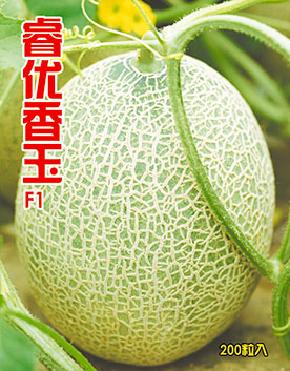 睿优香玉F1