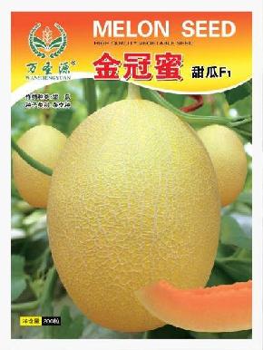 金冠蜜--甜瓜