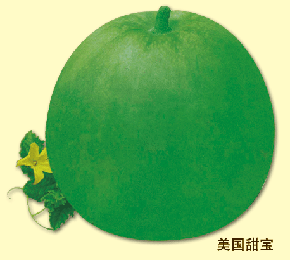 美国甜宝