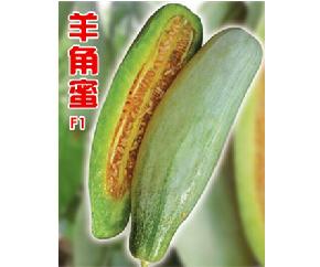 羊角蜜F1