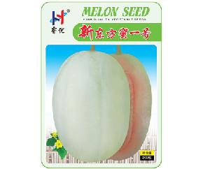 新东方密一号