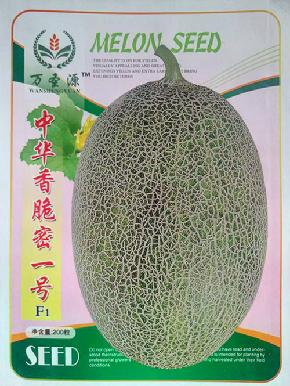 中华香脆密一号——优质网纹椭圆甜瓜