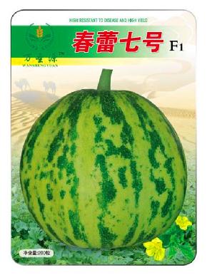 春蕾七号