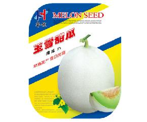 玉雪甜瓜--甜瓜种子