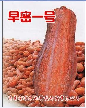 早密一号