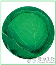 楚圆春132