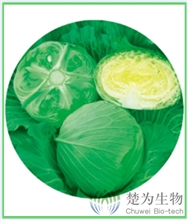 皇家110