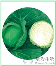 皇冠55