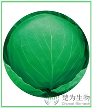 楚圆春101