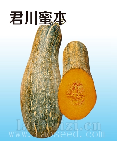 君川蜜本