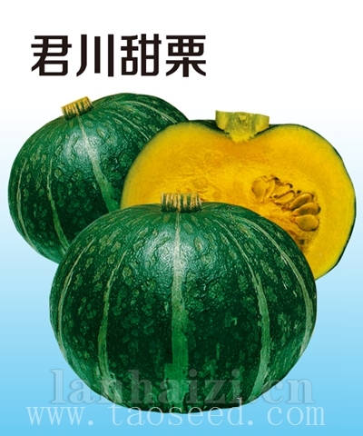 君川甜栗
