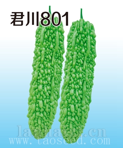 君川801