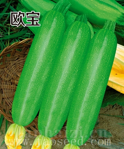 欧宝