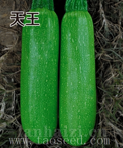 天王