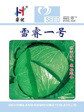 雪睿一号--极耐寒、口味佳--甘蓝种子
