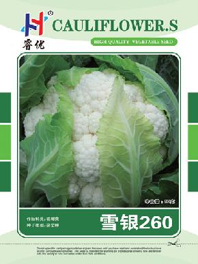 雪银260