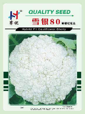 雪银80——优质进口越冬花菜